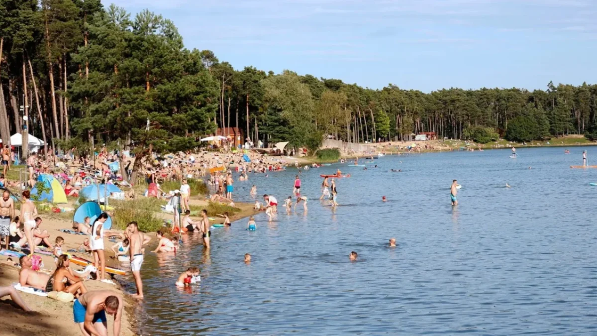 Voda a stín mohou být jedinou možností, jak přečkat letošní léto. Zdroj: Shutterstock