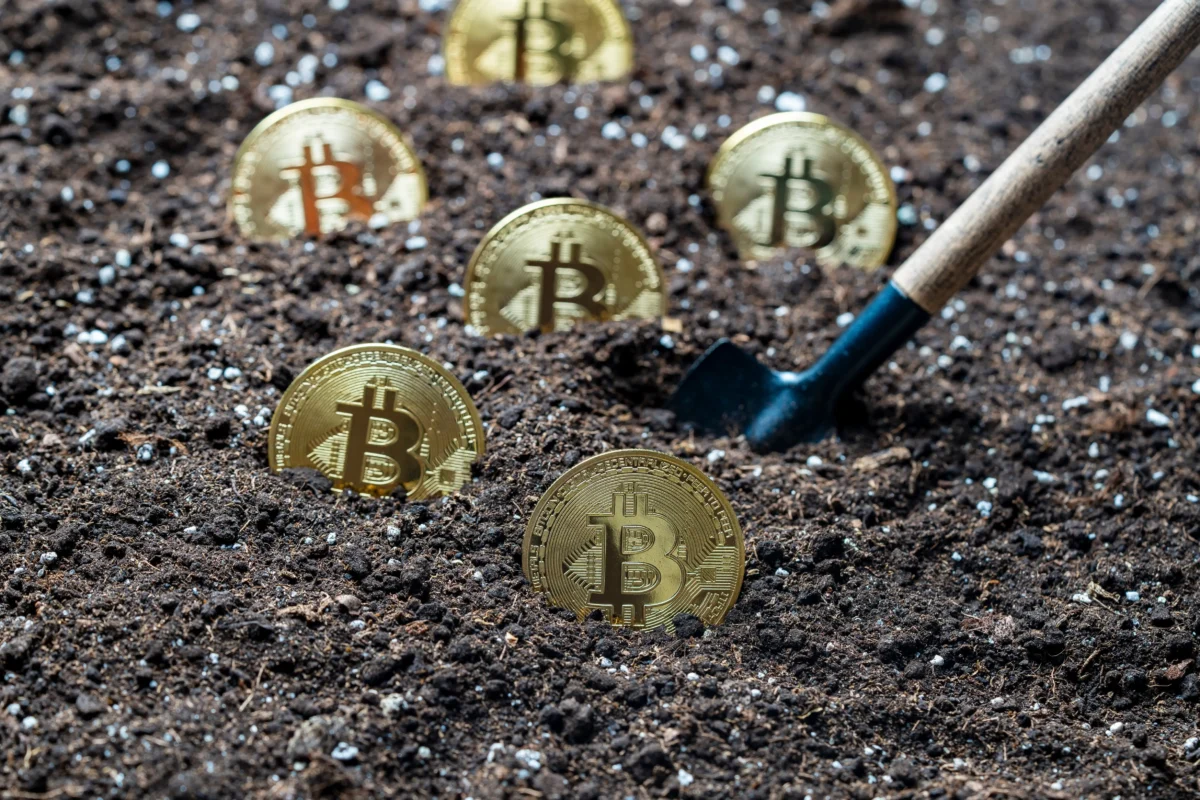 Bitcoiny zapíchané v hlíně 