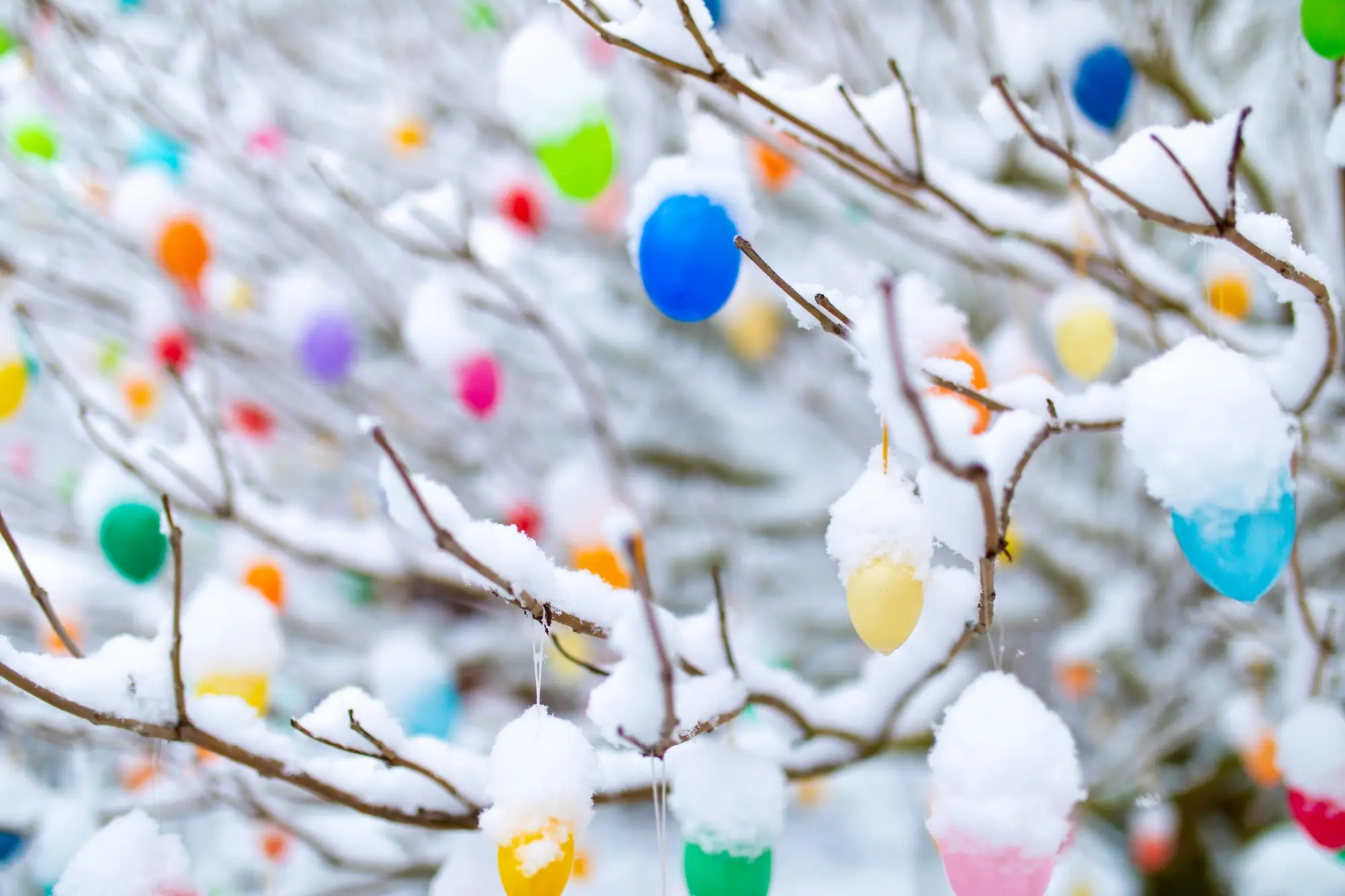 Jaké jsou Velikonoce u vás? | TVGURU.cz Jaké jsou Velikonoce u vás?