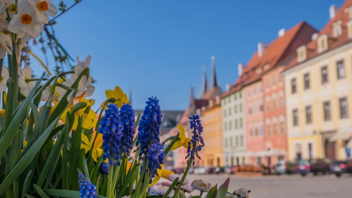 Květiny zdobí náměstí.