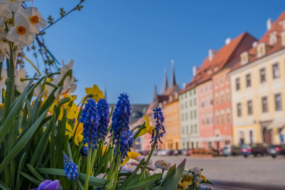 Květiny zdobí náměstí.