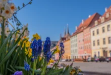 Květiny zdobí náměstí.