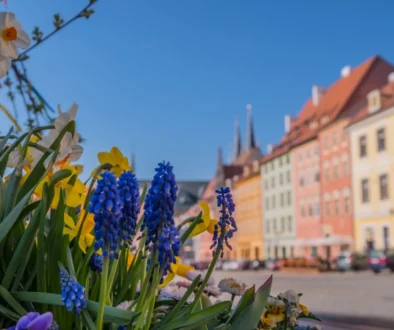 Květiny zdobí náměstí.