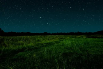 klidná noc