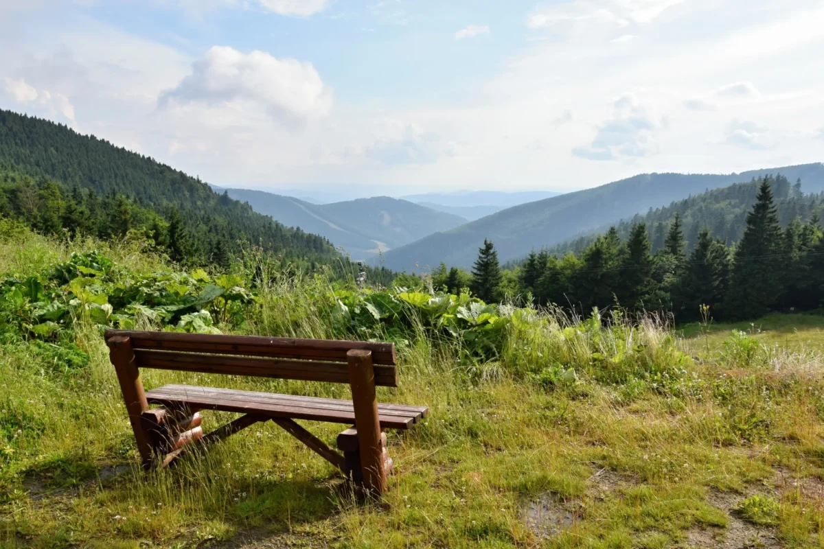 Pohled na Jeseníky a lavičku