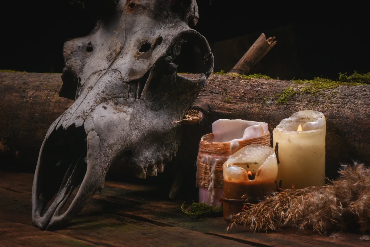 Vybavení vhodné pro čarodějnice 