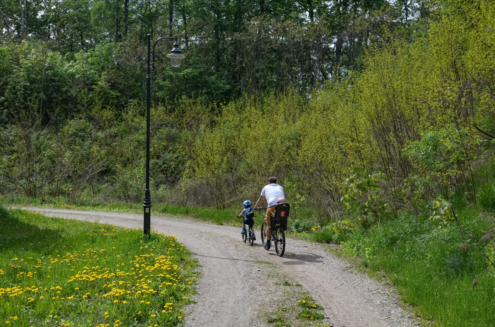Jaro vyláká na výlet každého