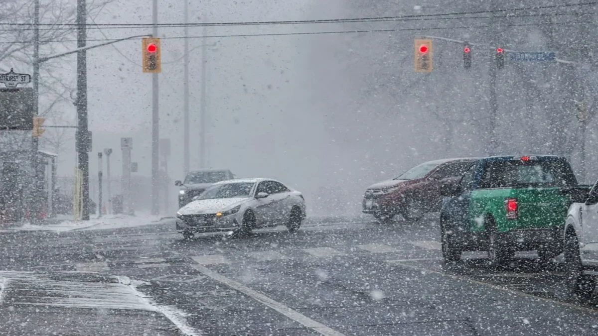 Doufejme, že jde o poslední záchvěv letošní zimy
