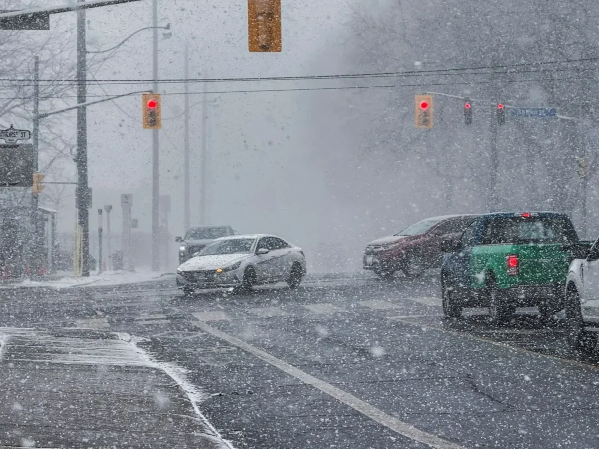Doufejme, že jde o poslední záchvěv letošní zimy