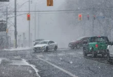 Doufejme, že jde o poslední záchvěv letošní zimy