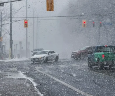 Doufejme, že jde o poslední záchvěv letošní zimy