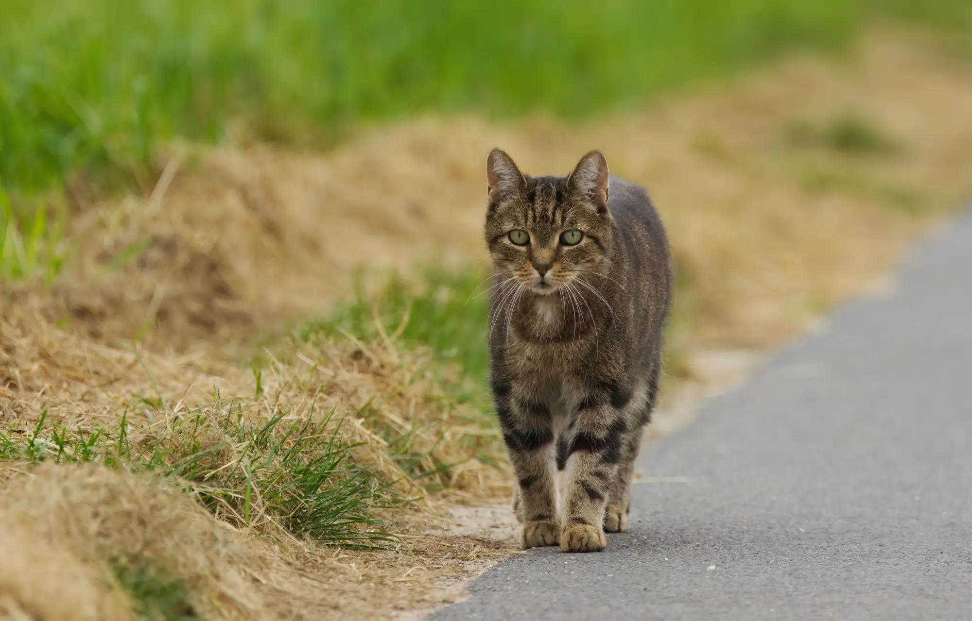 Víkend vyláká do přírody každého | TVGURU.cz Víkend vyláká do přírody každého