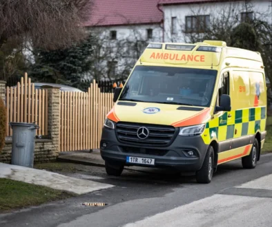 shutterstock_2146333063-2