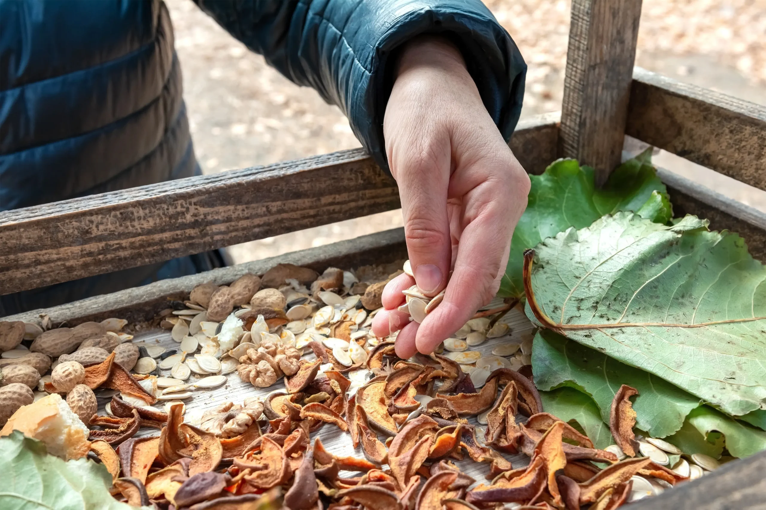shutterstock_2703289971 1 | TVGURU.cz Ruka s krmítkem pro ptáky