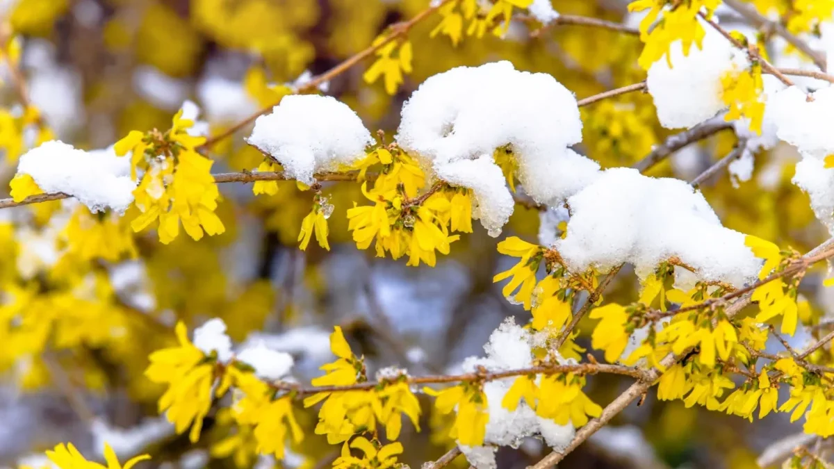 Bude už opravdu poslední?
