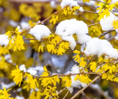 Bude už opravdu poslední?