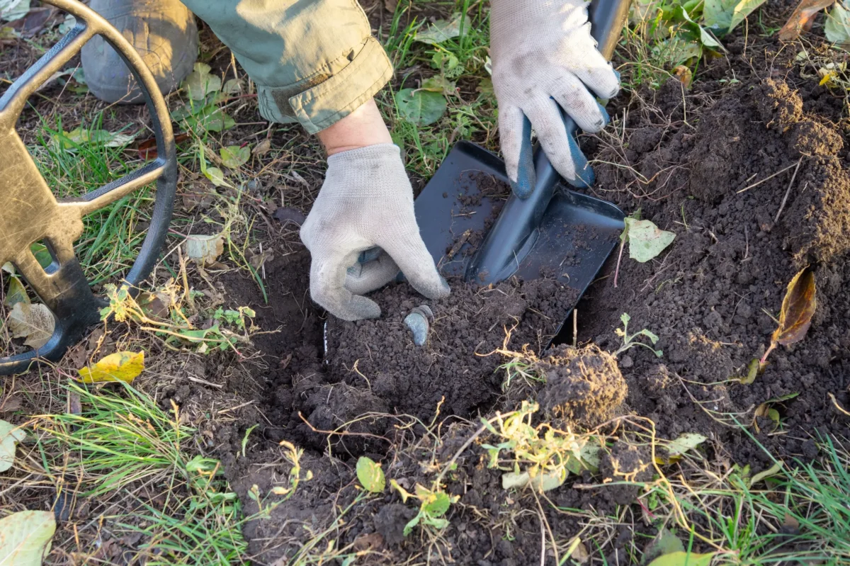 Vyhrabávání mincí