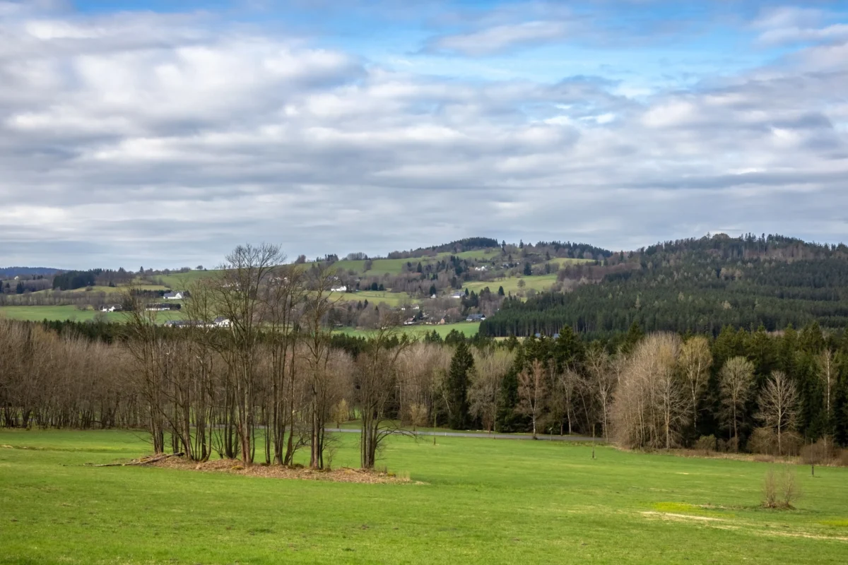 Sluneční paprsky se budou střídat s deštěm. Zdroj: Shutterstock | TVGURU.cz Louka a les.