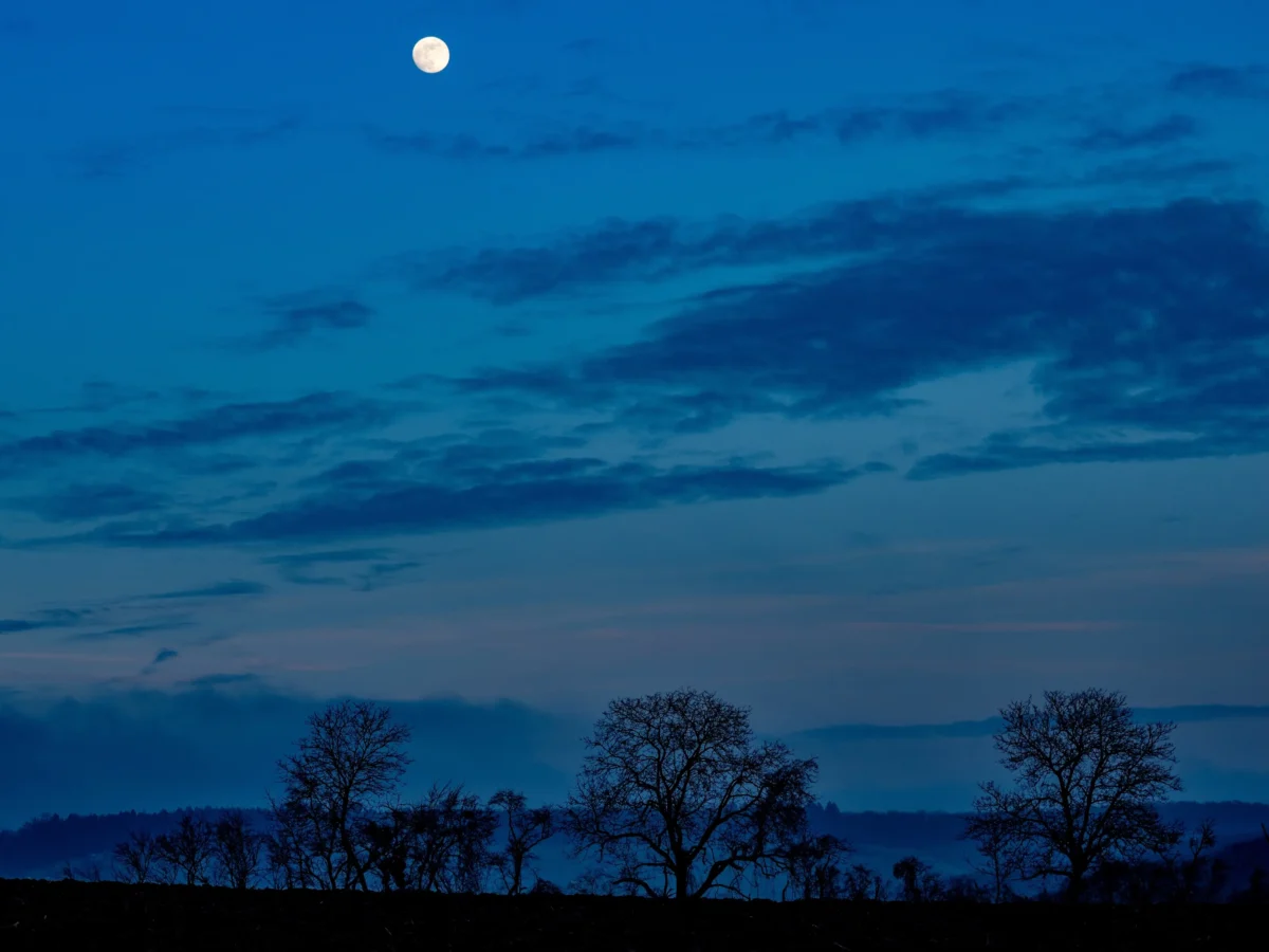 Na obloze září Měsíc. 