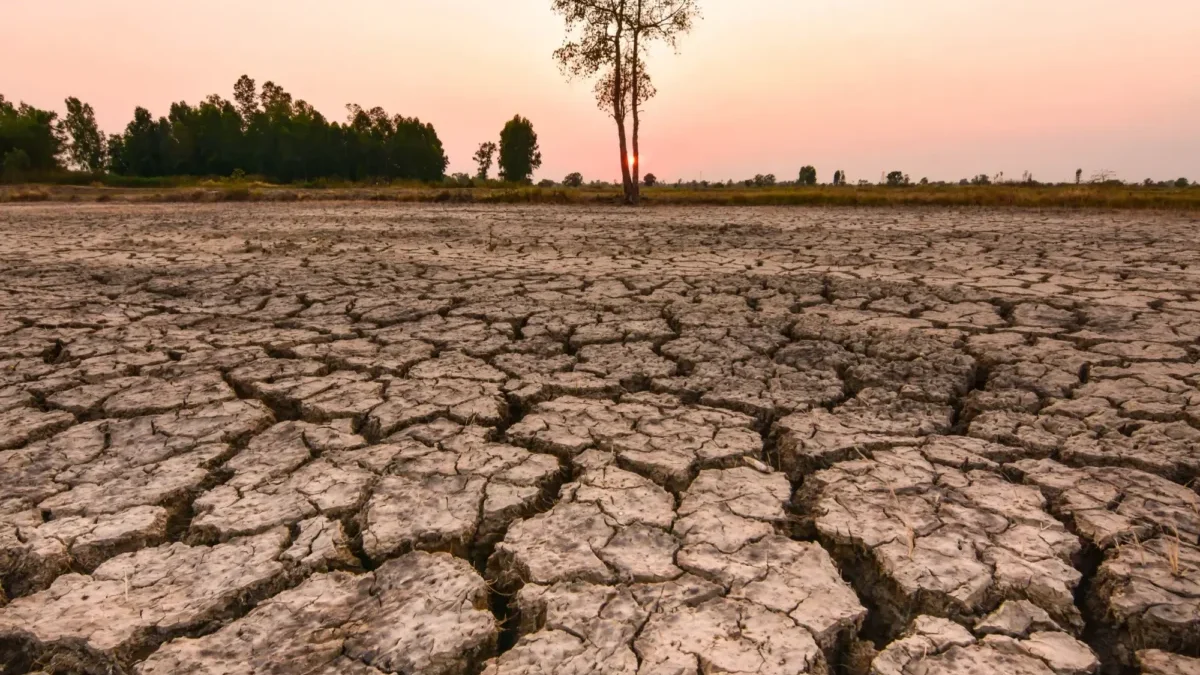 Od extrémního sucha...