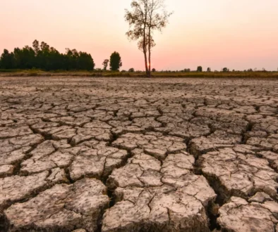 Od extrémního sucha...