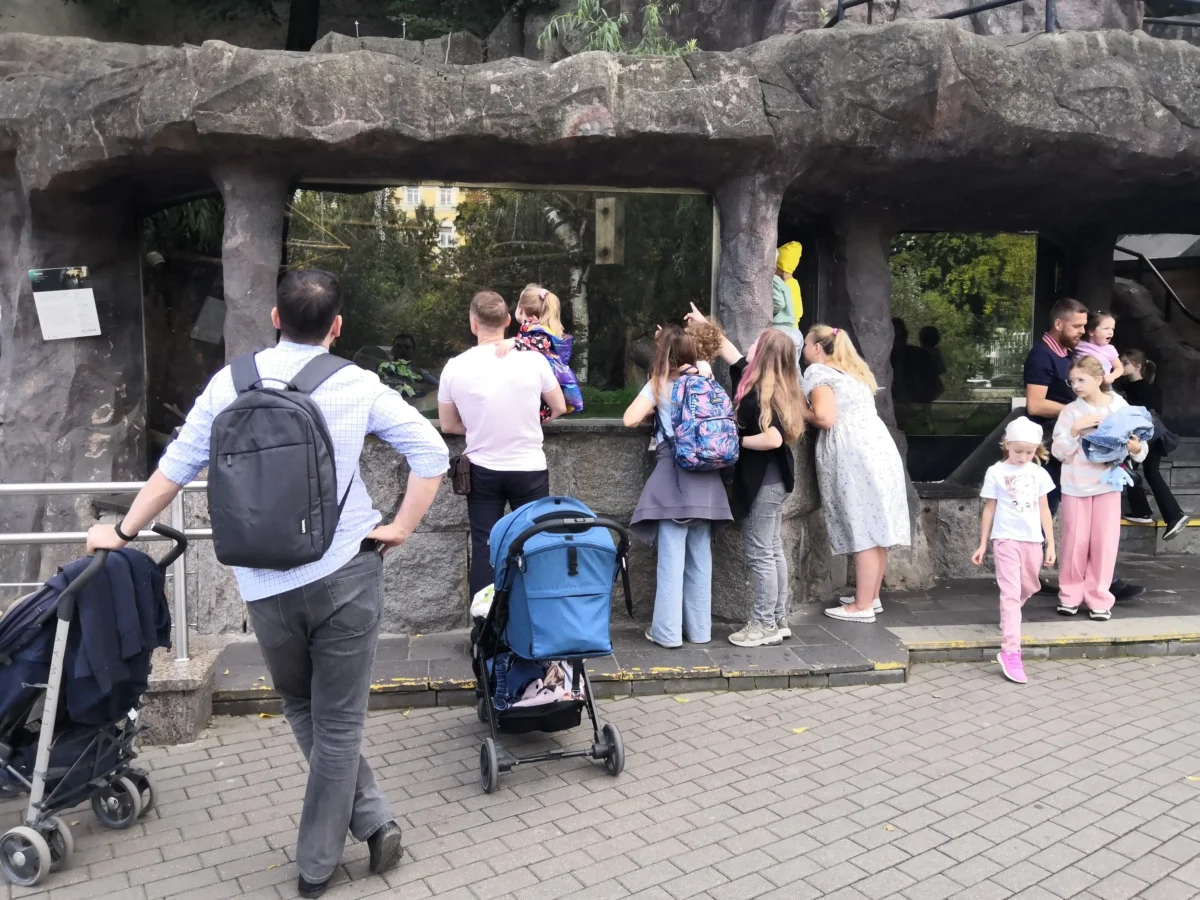 Lidé v zoo dívající se na zvíře.