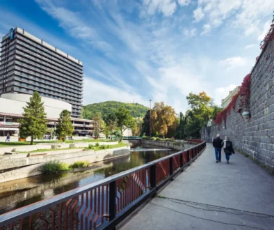 shutterstock_722985748-2-2