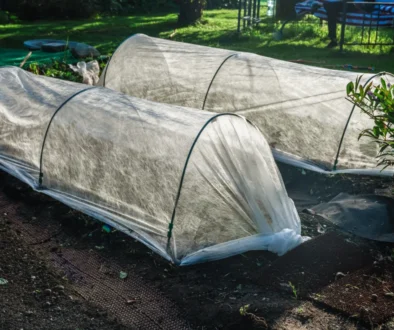 Záhony jsou překryté tkaninou.