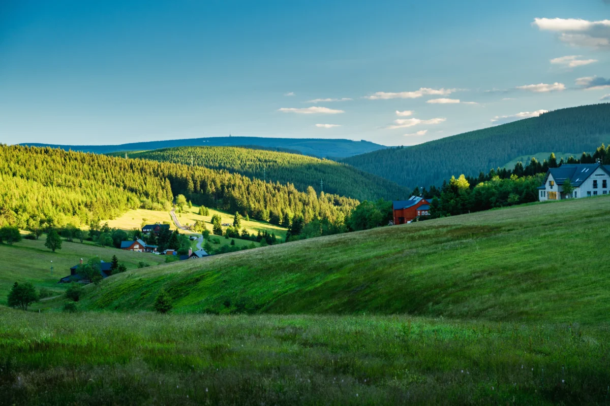 Příroda v Krkonoších.