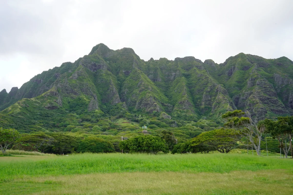 Příroda z filmu Jurský park.