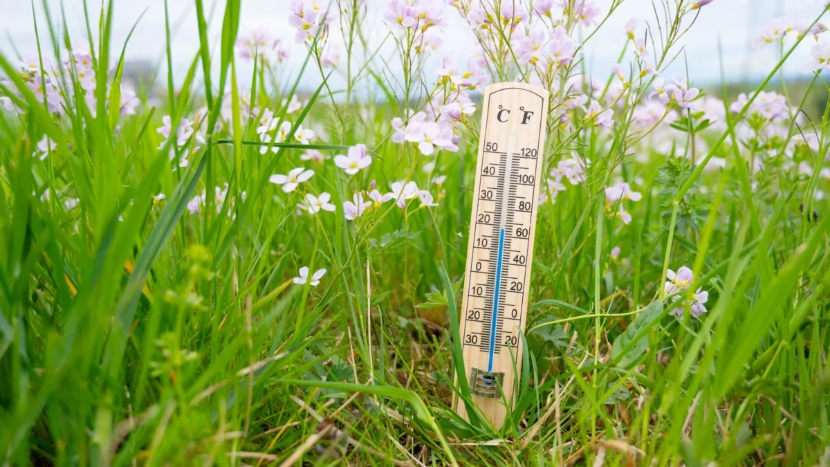 shutterstock_2759485783-2