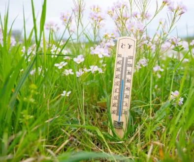 shutterstock_2759485783-2