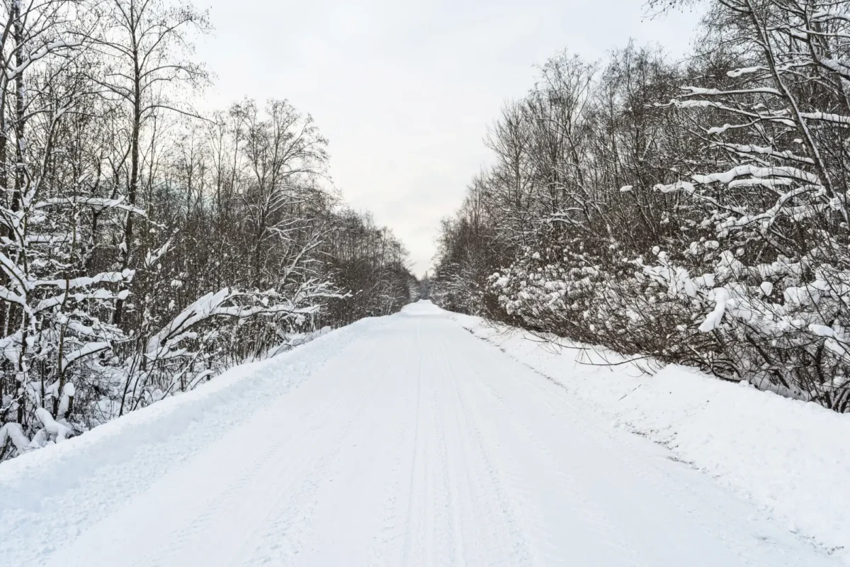 zasněžená silnice