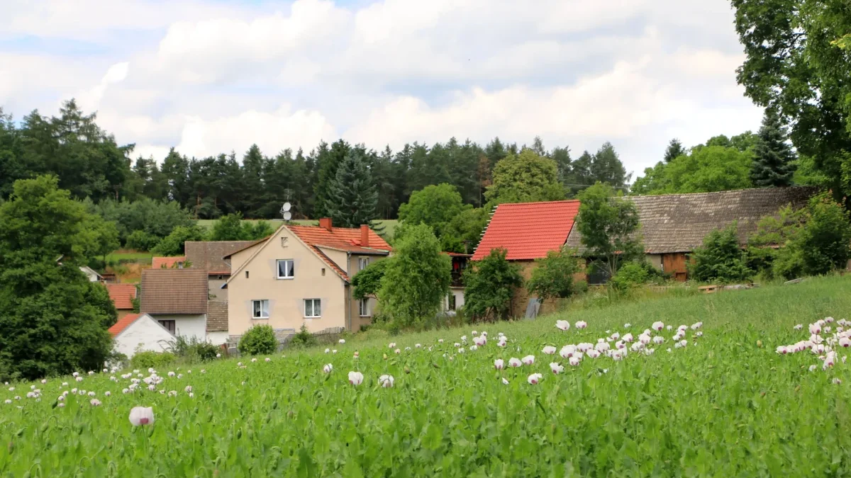 Křečovice