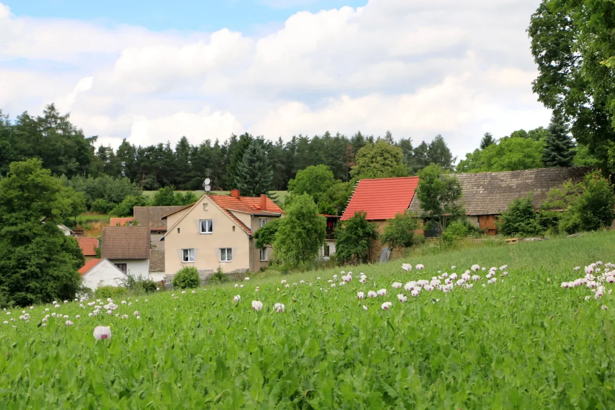 Křečovice