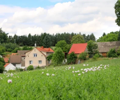 Křečovice