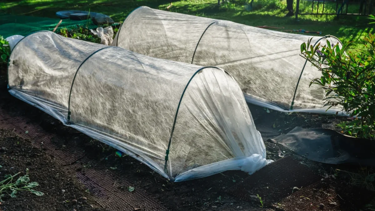 Záhony přikryté folií.