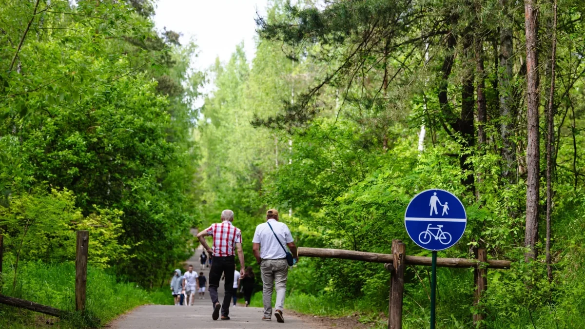 Lidé se venku procházejí.