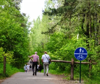 Lidé se venku procházejí.