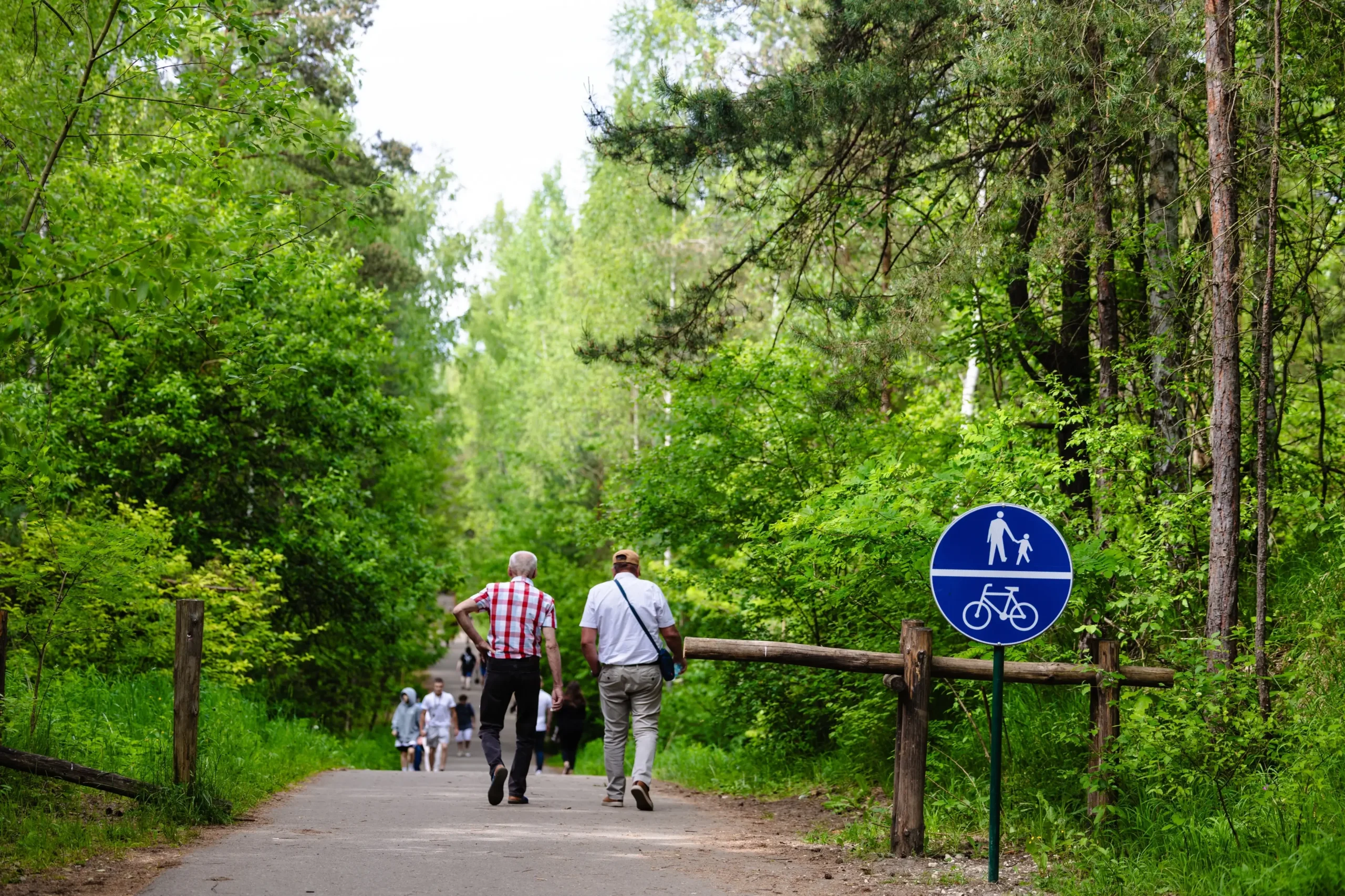 Lidé se venku procházejí.