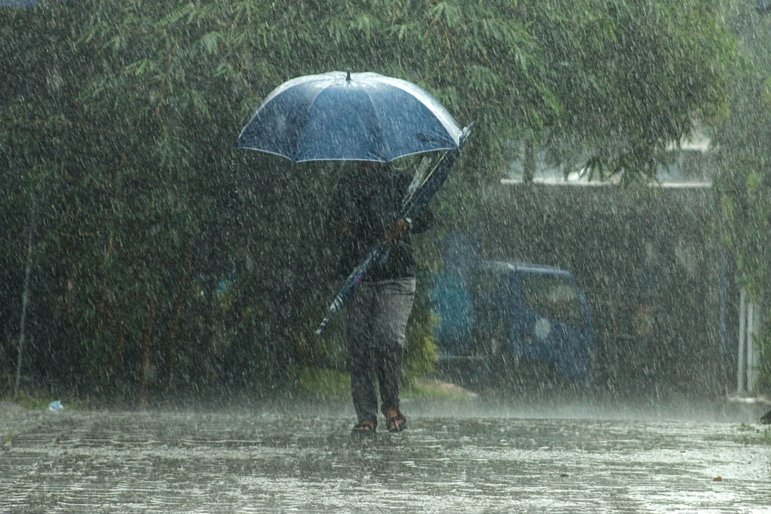 Muž s deštníkem v dešti