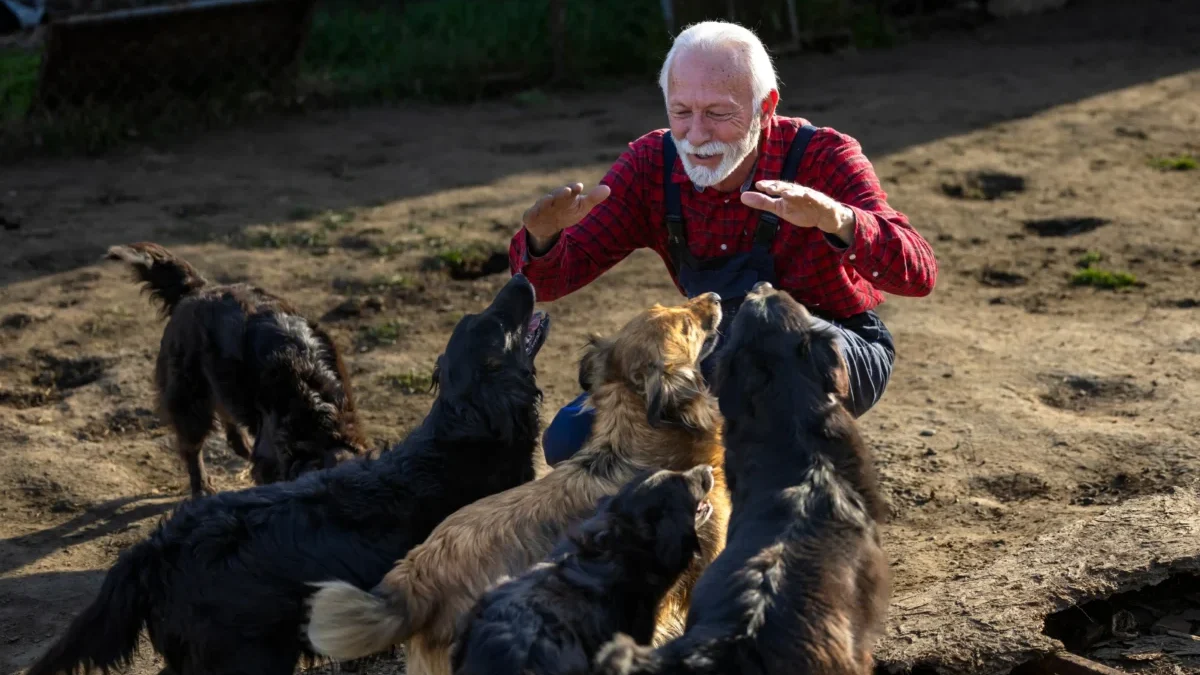 Starší muž se psi.