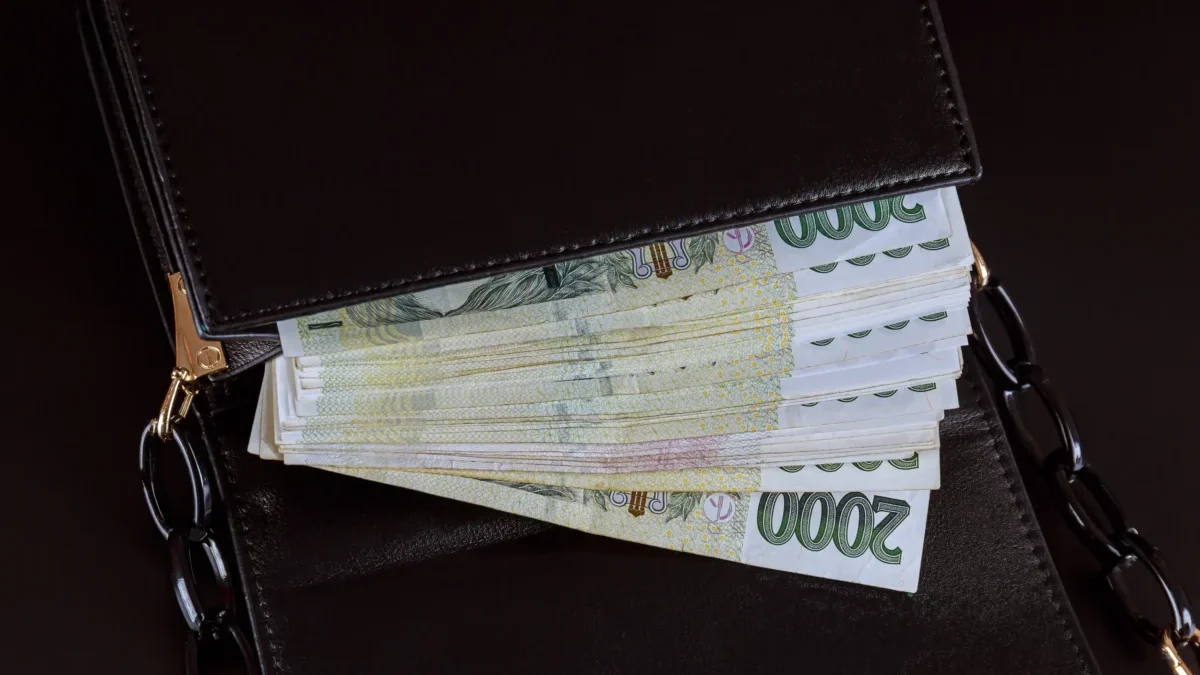 V peněžence jsou bankovky.