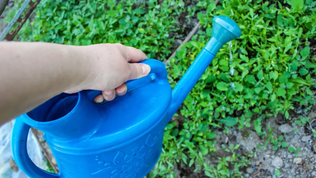 Člověk v ruce drží konvici.