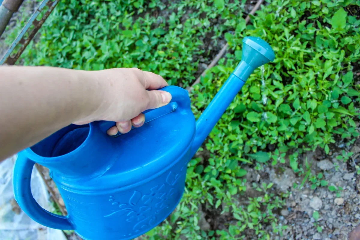 Člověk v ruce drží konvici.