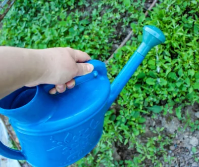 Člověk v ruce drží konvici.