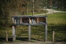 Knihovnička v parku
