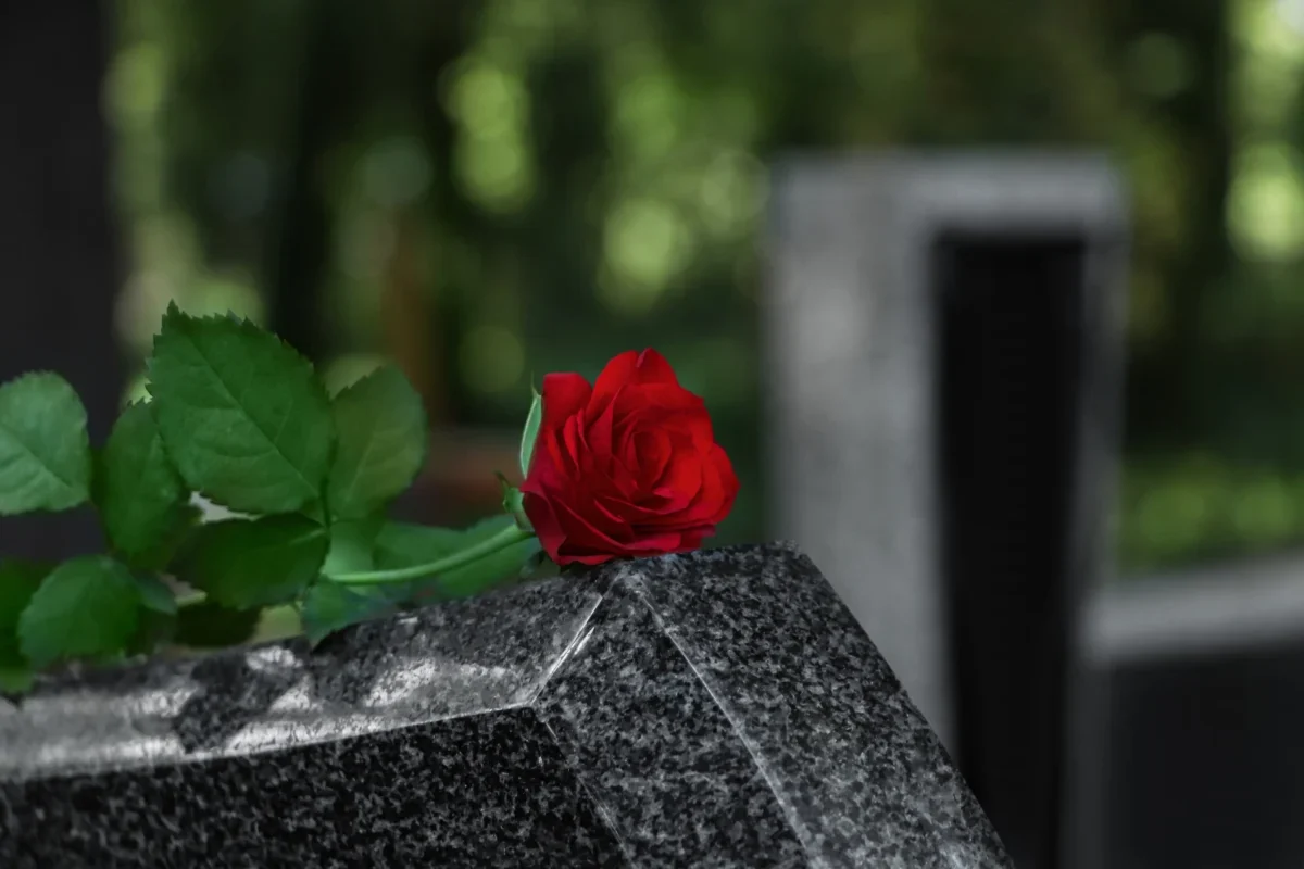 shutterstock_2210687537-2