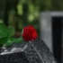 shutterstock_2210687537-2