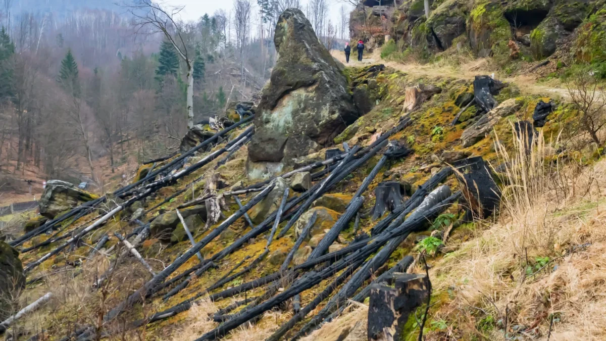 Hikers in red jackets walk along a rocky hillside strewn with black pipes; leafless trees and cliffs in the background.
